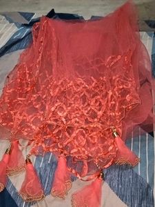 Orange Net Embellished Lehenga Choli
