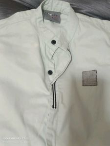 Striped Sleeve Light Green Shirt