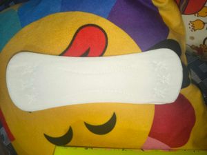 Equalife Panty Liners