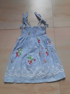 Cute Blue Gingham Strawberry Dress