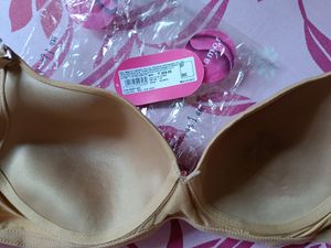 Enamor 38C Skin colour padded