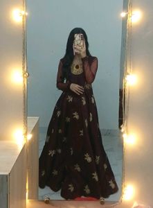 Elegant Ethnic Gown