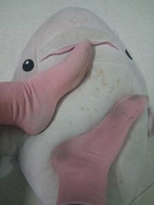 Pink Ankle Socks