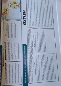 Xylem Mind Maps for NEET Class 12th