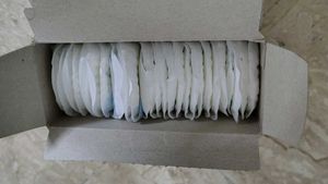 Bella Mini Panty Liner