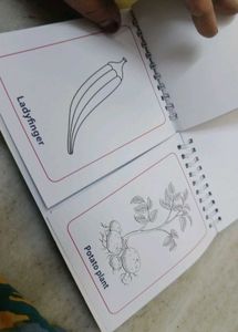 Vegetables colouring book