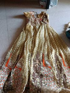Elegant Peacock Embroidered Gown used