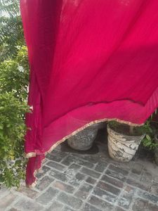 Vibrant Pink Dupatta with Gold Border