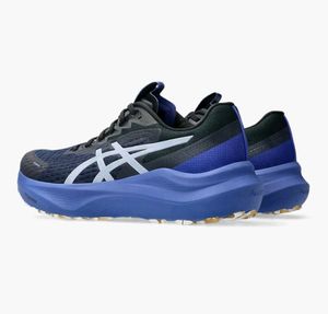 ASICS Gel-Kayano 29 Running Shoes
