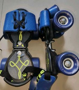 Blue Roller Skates