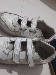 like New  Sparx White Velcro Sneakers