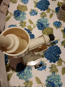 Fruit Juicer