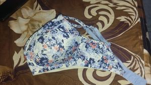 UL50 Women's Under-Wired Padded Super Combed Cotto