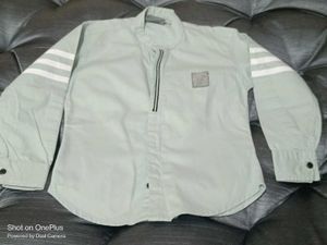 Striped Sleeve Light Green Shirt