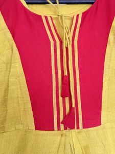 Elegant Anarkali Gown