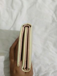 Cute aesthetic Bowknot trifold coquette wallet