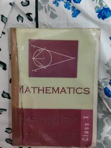 Class X Mathematics Examplar Problems