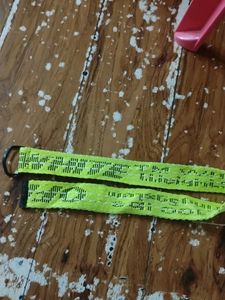 Fashion Belt Collection