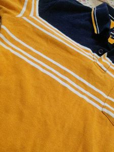 Men's Orange &amp; Navy Striped Polo Shirt