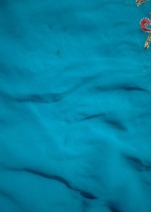 Embroidered Turquoise Saree
