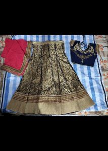 Elegant Embroidered Lehenga Choli