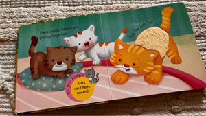 Pet Pals Touch and Feel Book