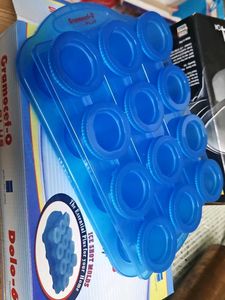 Ice mold