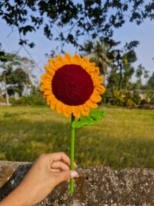 Crochet Sunflower