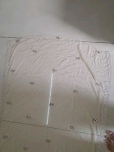 Embellished Dupatta new