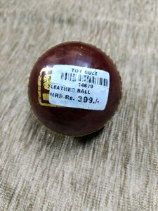 Leather ball