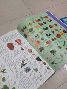 encyclopedia vol 6 e-g