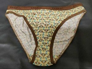 Enamor cotton briefs for women