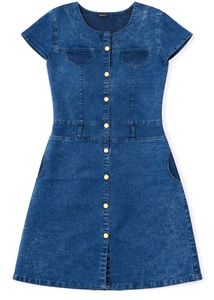 Blue Denim Button-Up Dress