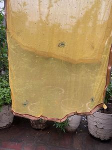 Vibrant Yellow Embellished Dupatta
