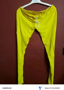 Yellow Legi