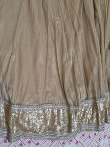 Gold Embellished Skirt With Dupatta