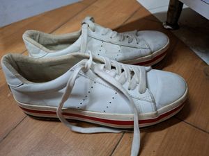 Casual Shoes 👞