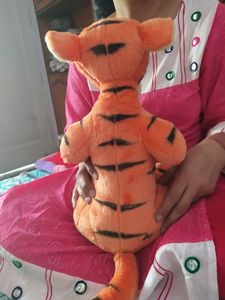 Tigger (pooh family)