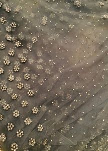 Embellished Saree