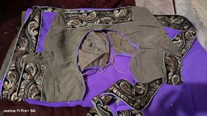Beautiful Purple Embellished Saree