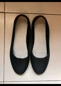 Black Bellies Unused