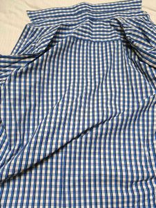 Blue Checked Casual Shirt