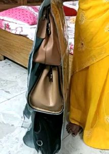 Hanging Handbag Organizer