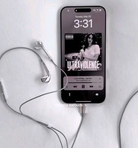 Chrome Earbuds with Case USB- C Type