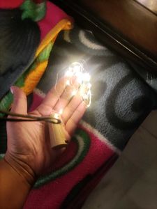 Quace Twinkling Lights (4) pack of 4