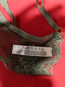 Olive Green Lace Thong Panty