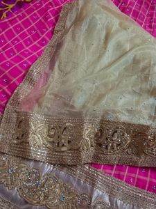 Party Wear Lehenga