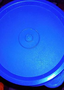 Elegant Food Container