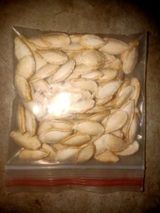 Pumpink Seed Pak100 Seed