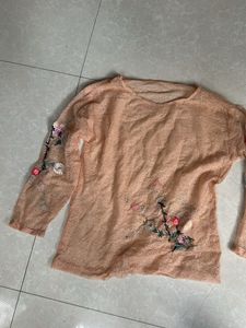 Embroidered Sheer Mesh Top